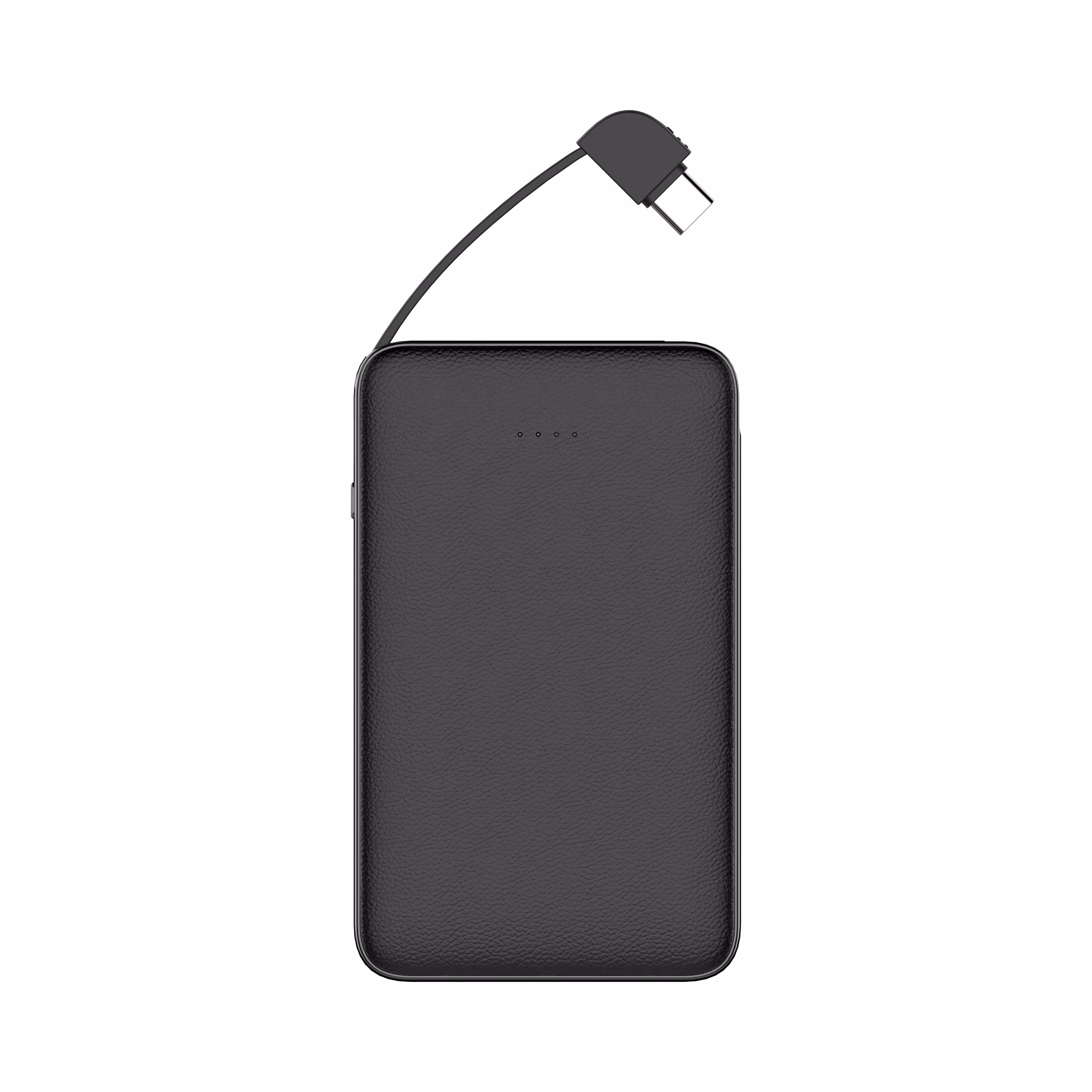 31384_10000mah-dual-line-fast-charging-power-bank-3-135016-068